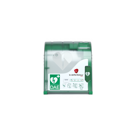 [908] Armoire murale extérieure  chauffée avec alarme